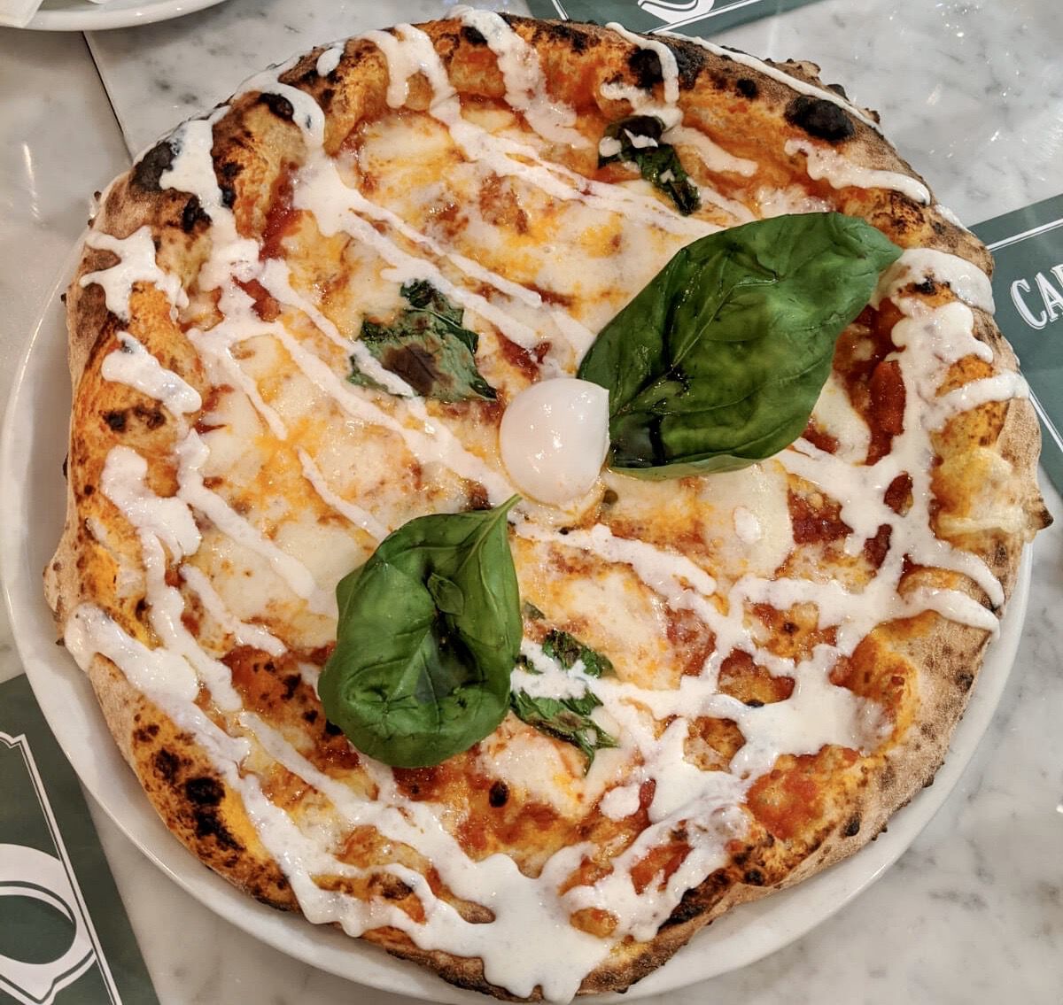 Amatriciana - Capuano's Pizzeria 7.0